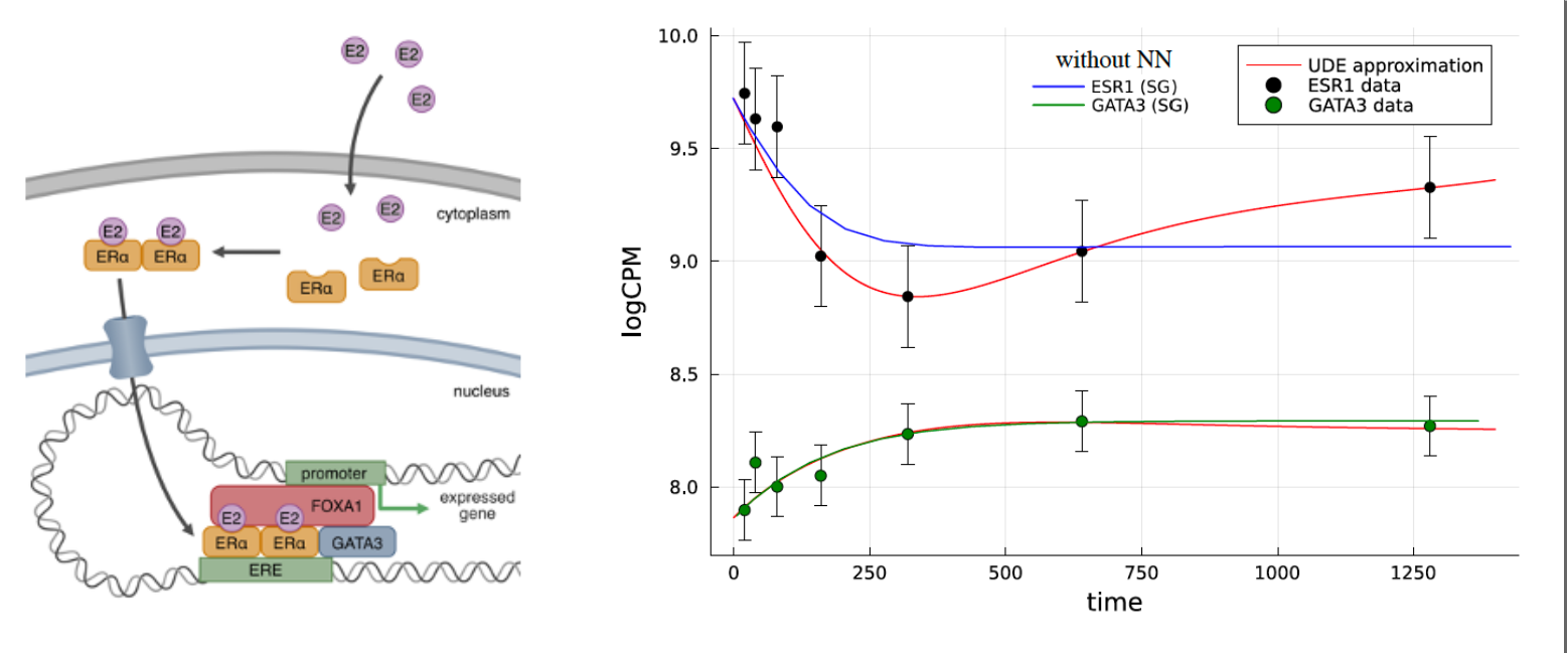 Inferring regulation between two transcription factors